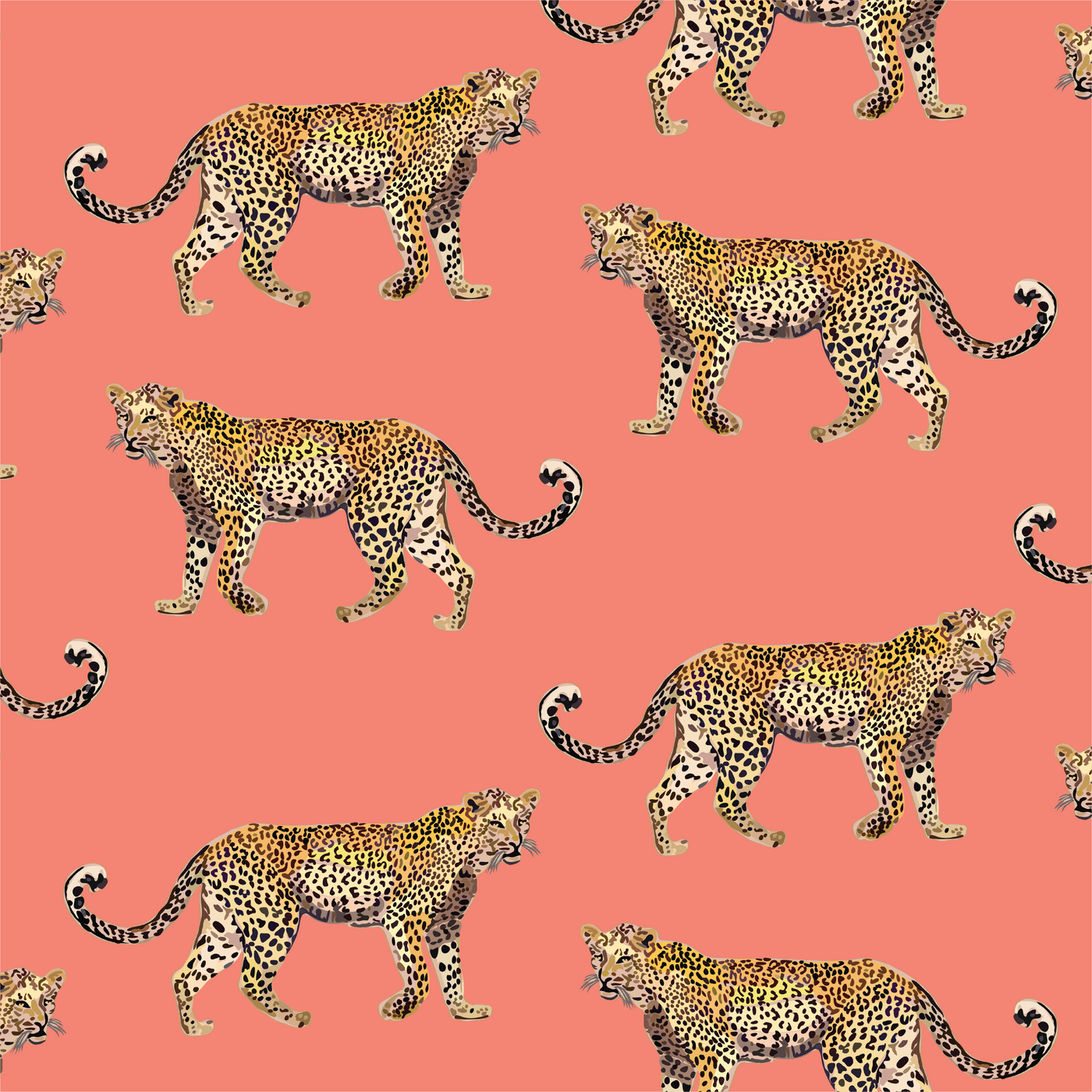 Cheetahs Traditional Wallpaper Wallpaper Coral / Sample Katie Kime
