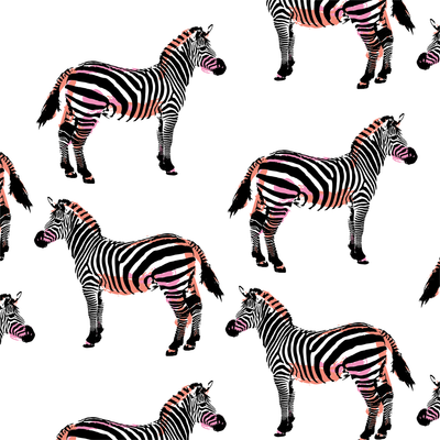 Zebras Katie Kime