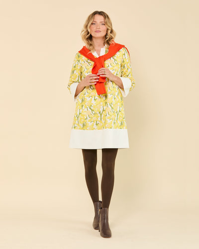 Ava Tunic Dress in Garden Party Dress Katie Kime