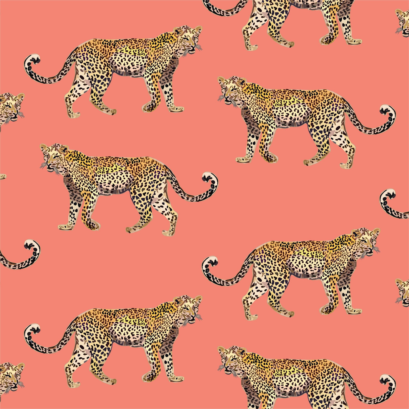 Cheetahs Peel & Stick Wallpaper Peel & Stick Wallpaper Coral / 24" x 144" Katie Kime