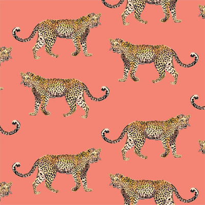 Cheetahs Peel & Stick Wallpaper Peel & Stick Wallpaper Coral / 24" x 144" Katie Kime