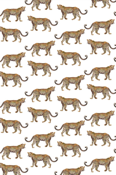 Cheetahs Peel & Stick Wallpaper Peel & Stick Wallpaper Katie Kime