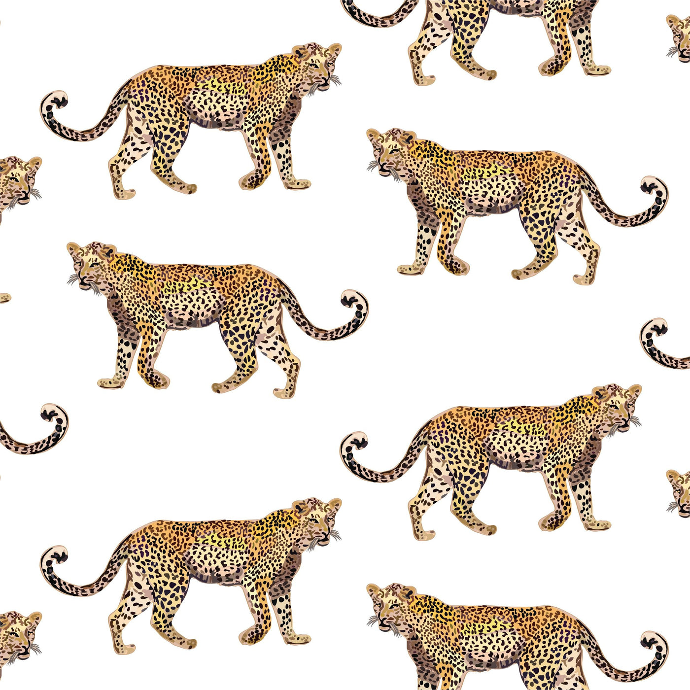 Cheetahs Peel & Stick Wallpaper Peel & Stick Wallpaper White / 24" x 144" Katie Kime