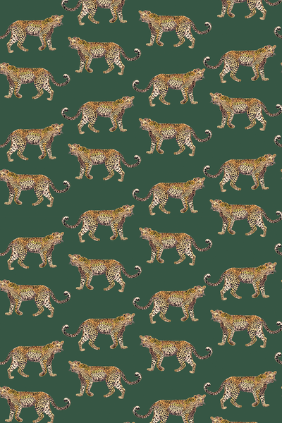 Cheetahs Traditional Wallpaper Wallpaper Katie Kime