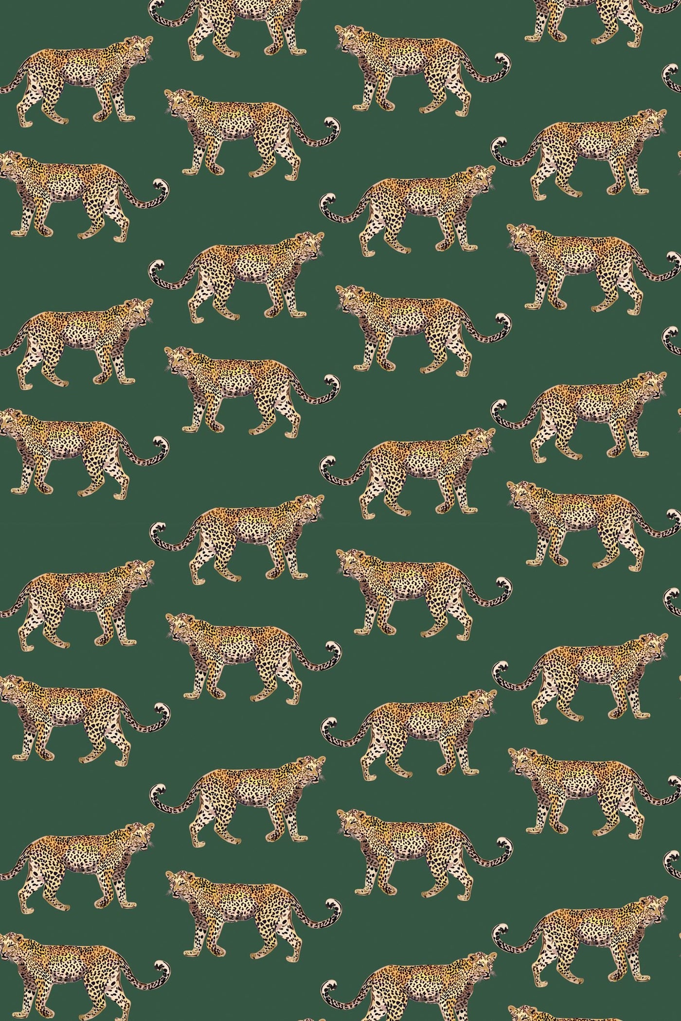 Cheetahs Traditional Wallpaper Wallpaper Katie Kime