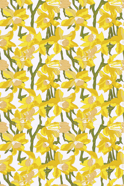 Wallpaper Daffodils Traditional Wallpaper Katie Kime