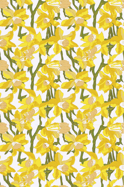 Daffodils Traditional Wallpaper Wallpaper Katie Kime