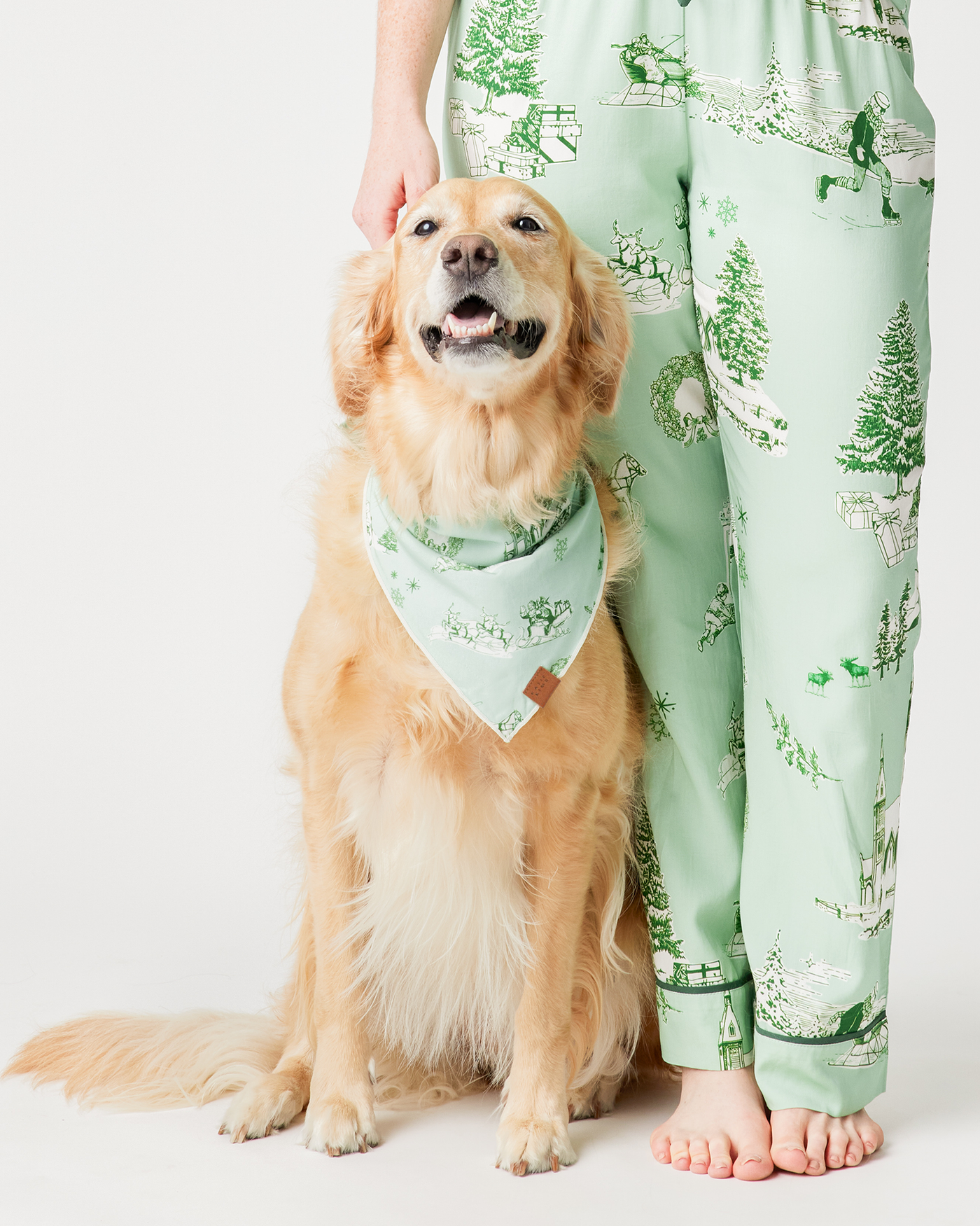 Holiday Toile Pet Bandana Dog Apparel Mint Hunter / Small Katie Kime