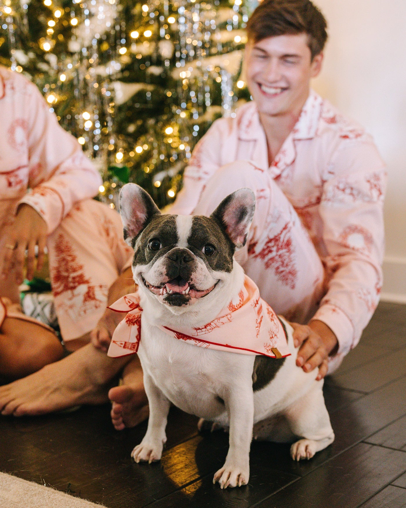 Holiday Toile Pet Bandana Dog Apparel Pink Red / Small/Medium Katie Kime