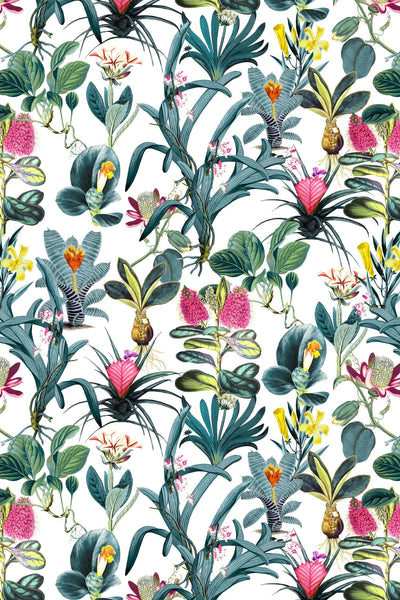 Lisse Traditional Wallpaper Wallpaper Katie Kime