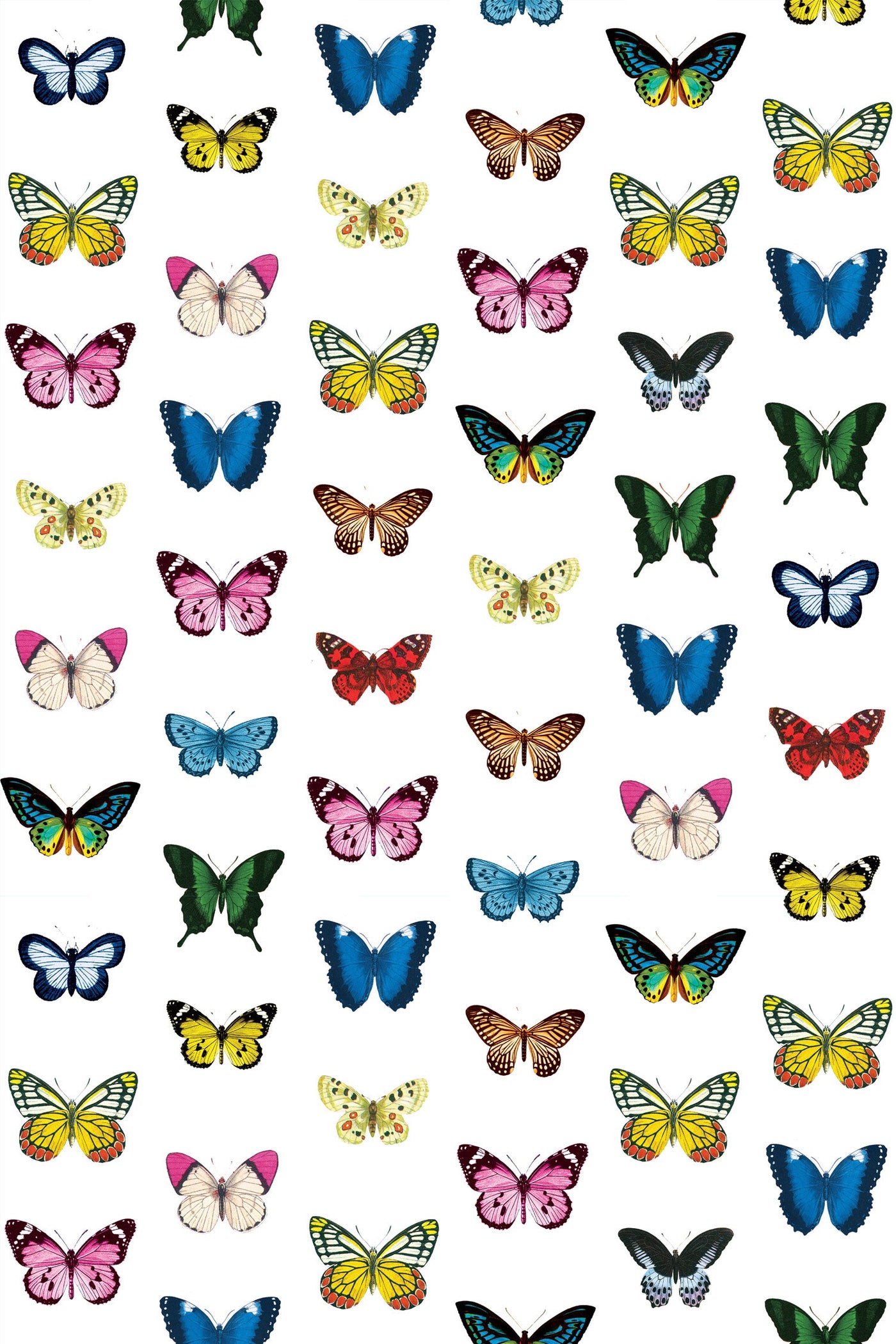 Mariposa Peel & Stick Wallpaper Peel & Stick Wallpaper Mutli / 24" x 144" Katie Kime