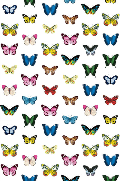 Mariposa Peel & Stick Wallpaper Peel & Stick Wallpaper Mutli / 24" x 144" Katie Kime