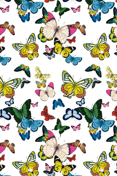 Metamorphosis Peel & Stick Wallpaper Peel & Stick Wallpaper Katie Kime