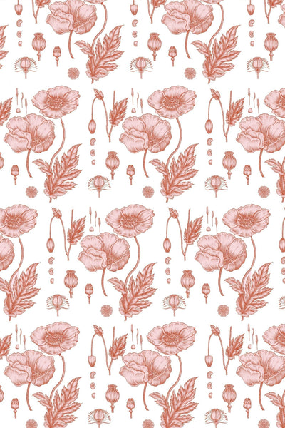 Poppy Peel & Stick Wallpaper Peel & Stick Wallpaper Pink / Large Sample Katie Kime