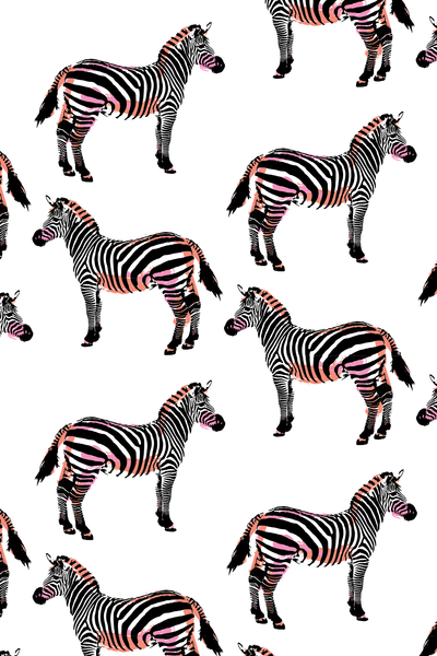 Zebras Traditional Wallpaper Wallpaper Katie Kime