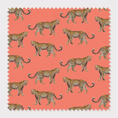 Cheetahs Fabric Fabric Katie Kime