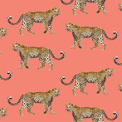 Cheetahs Traditional Wallpaper Wallpaper Coral / Sample Katie Kime