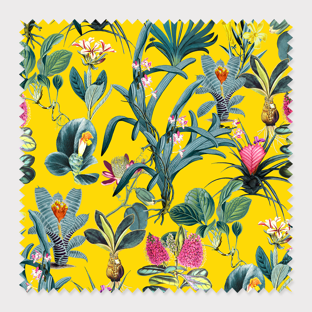 Fabric Cotton Twill / By The Yard / Yellow Lisse Fabric Katie Kime