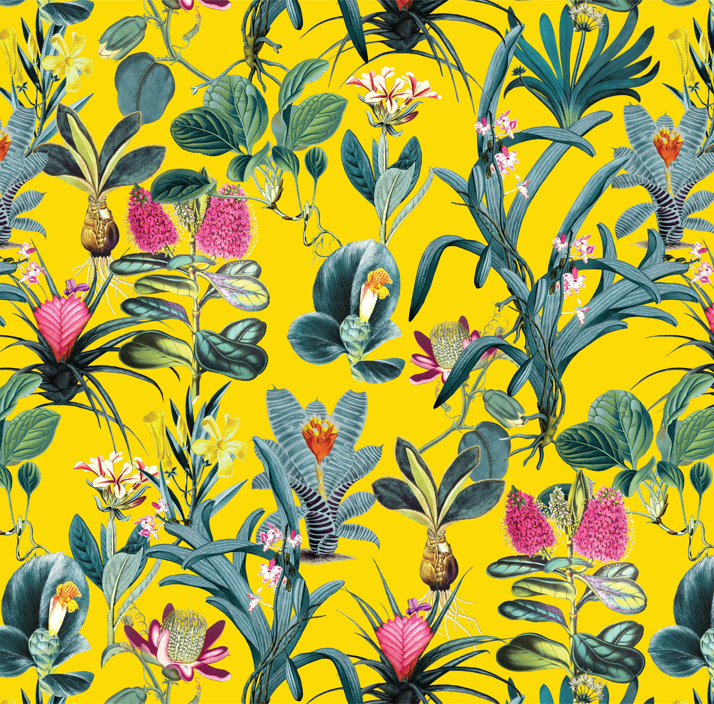 Lisse Peel & Stick Wallpaper Peel & Stick Wallpaper Yellow / 24"x 48" Katie Kime