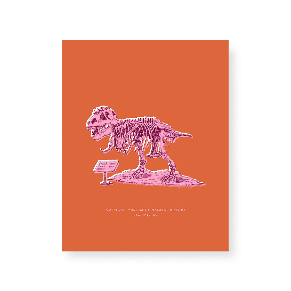 New York Dinosaur Print Gallery Print Katie Kime