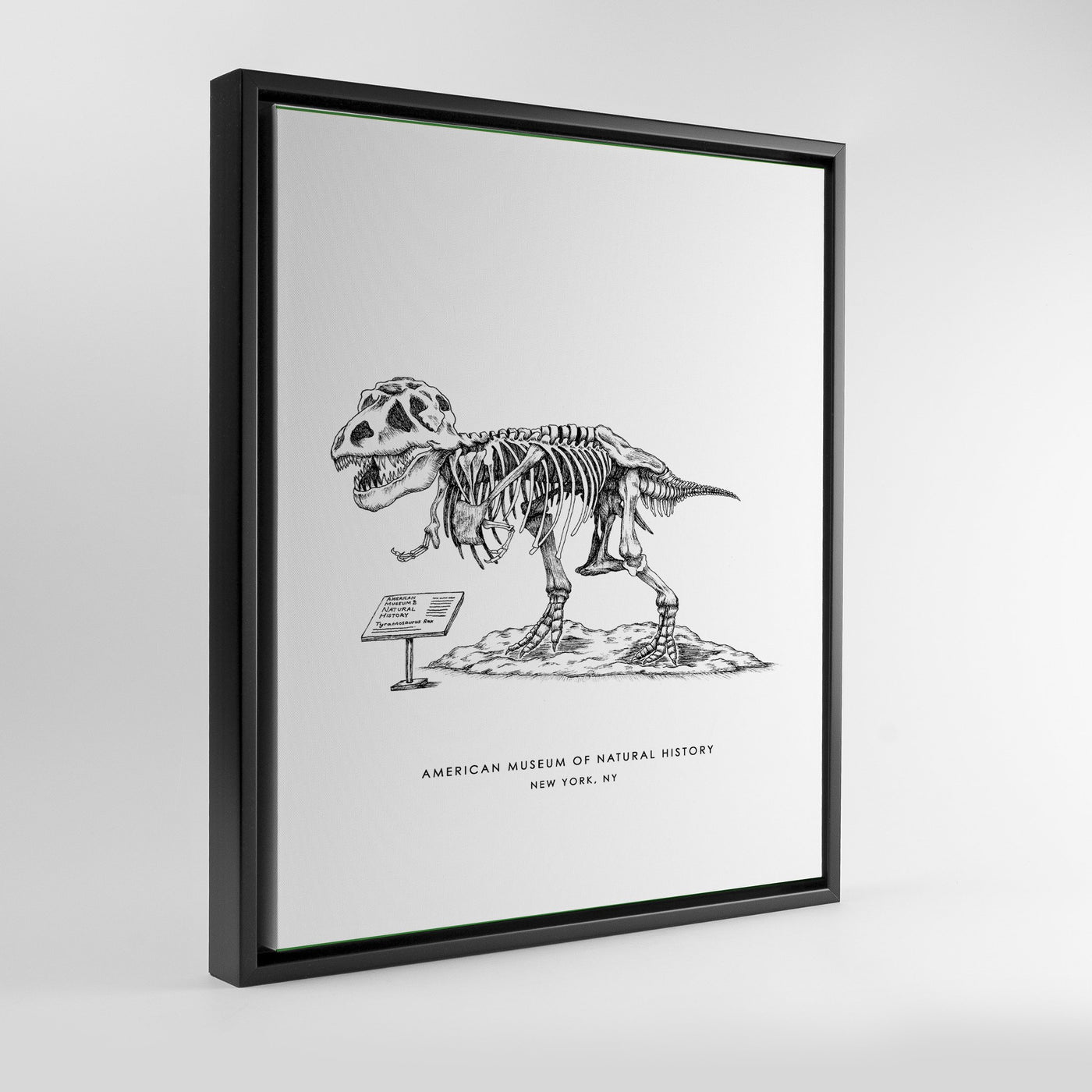 Gallery Prints Black Frame Canvas / 8x10 / Black Frame New York Dinosaur Print Katie Kime