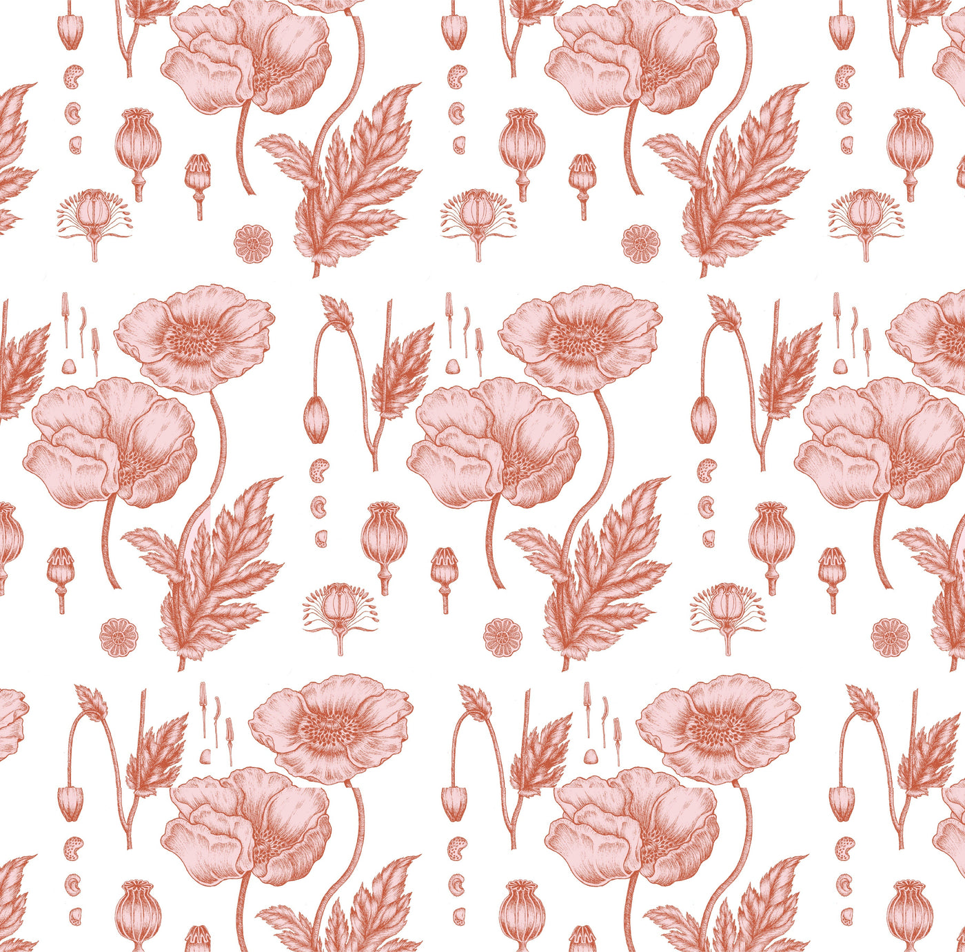 Poppy Traditional Wallpaper Wallpaper Pink / Double Roll Katie Kime
