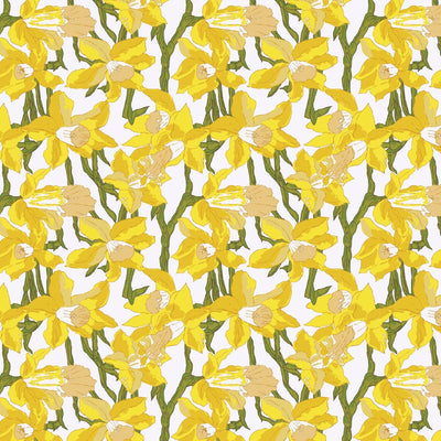 Daffodils Traditional Wallpaper Wallpaper Double Roll Katie Kime