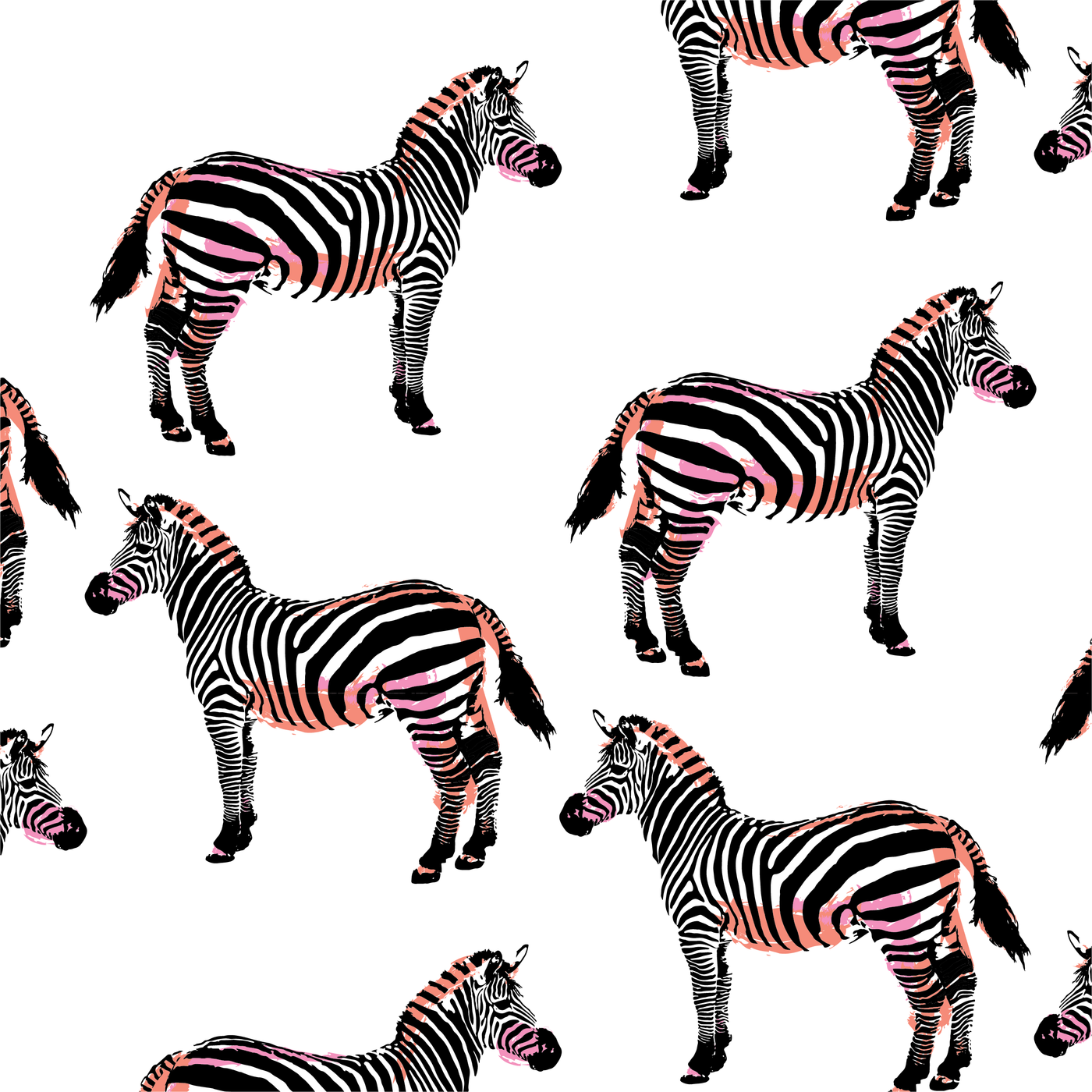 Zebras Traditional Wallpaper Wallpaper Black / Double Roll Katie Kime